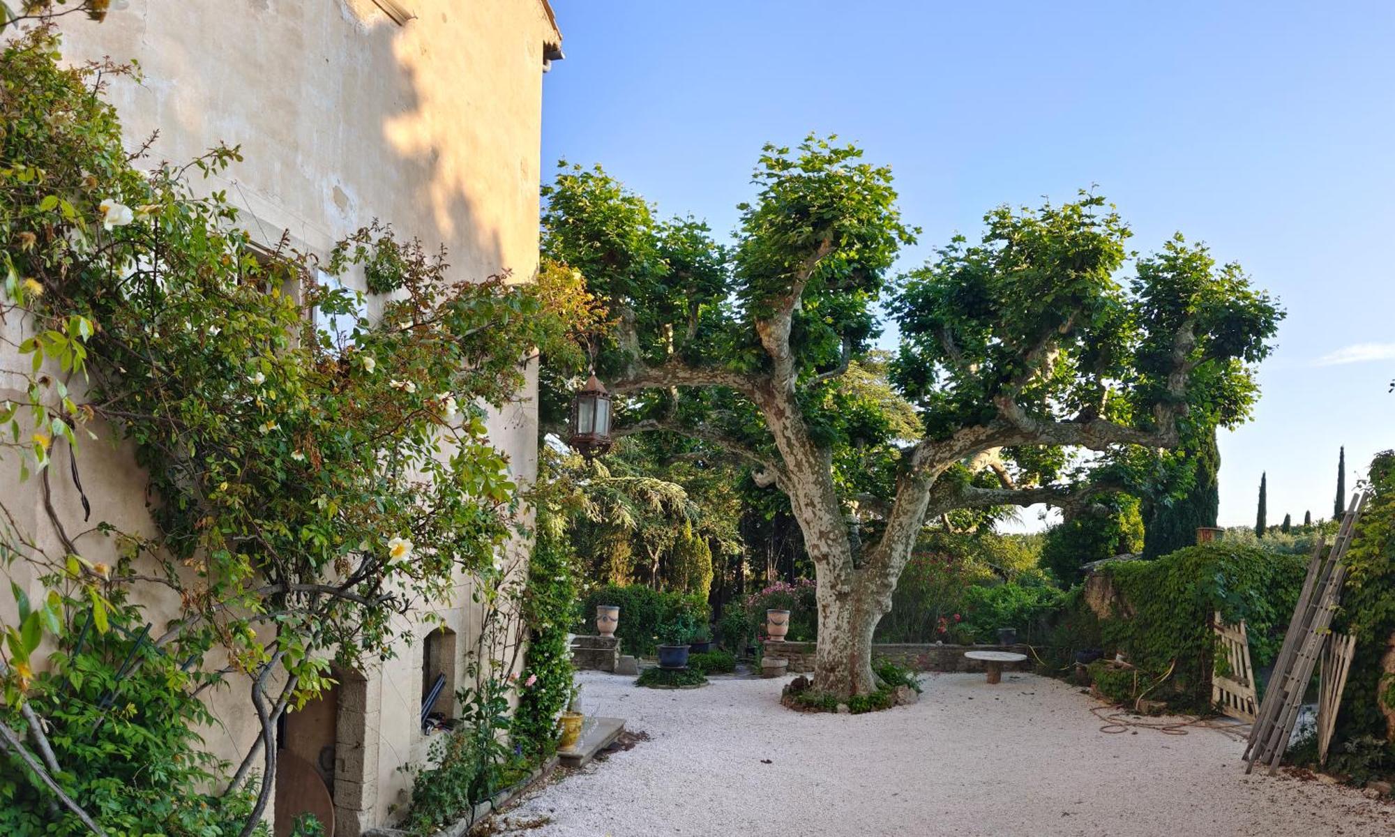 Rue Du Chateau A Cabrieres D'Avignon Bed and Breakfast Buitenkant foto